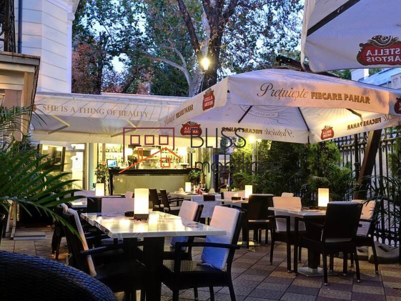 Vila de Inchiriat KM 0 | Ultracentral - 29 Camere - ID:85942 | Bliss Imobiliare / Photo 16 - BLISS Imobiliare