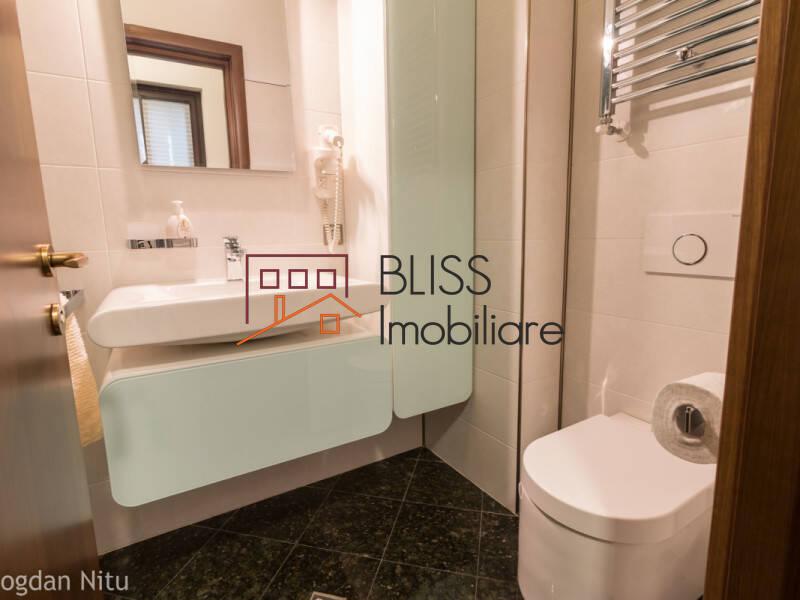 Furnished Luxury One Bedroom Apartment, Bucharest | Bliss Imobiliare / Photo 15 - BLISS Imobiliare