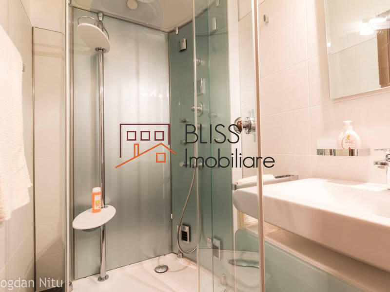 Furnished Luxury One Bedroom Apartment, Bucharest | Bliss Imobiliare / Photo 16 - BLISS Imobiliare