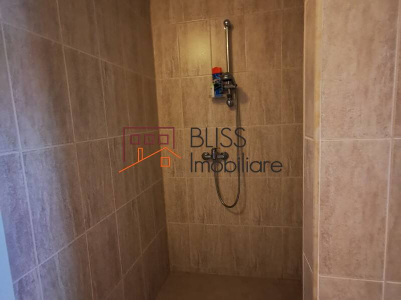 High Quality 6 Bedroom Villa, Bucharest / Ilfov | Bliss Imobiliare / Photo 49 - BLISS Imobiliare