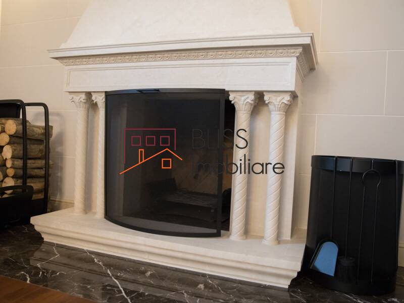 Vila de Inchiriat Dorobanti | Primaverii | Kiseleff | Aviatorilor - 10 Camere - ID:65377 | Bliss Imobiliare / Photo 14 - BLISS Imobiliare