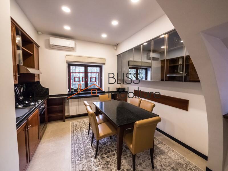 Vila de Inchiriat Dorobanti | Primaverii | Kiseleff | Aviatorilor - 10 Camere - ID:65377 | Bliss Imobiliare / Photo 15 - BLISS Imobiliare