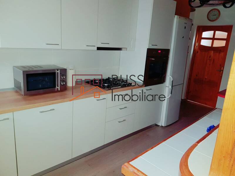 6 Bedroom Villa In Herastrau, Bucharest | Bliss Imobiliare / Photo 10 - BLISS Imobiliare