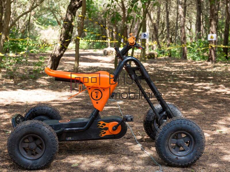 Photo 25 - BLISS Imobiliare