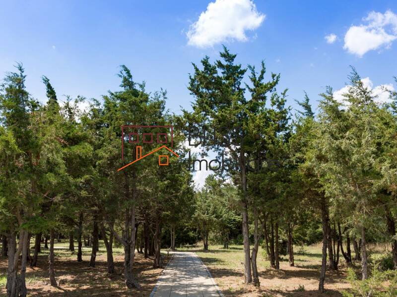 Photo 19 - BLISS Imobiliare