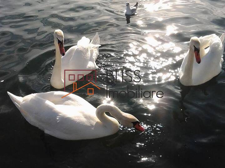 Photo 21 - BLISS Imobiliare