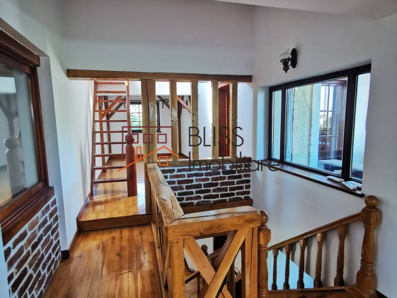 680sqm Villa With Garden And Pool Tunari, Bucharest / Ilfov | Bliss Imobiliare / Photo 53 - BLISS Imobiliare