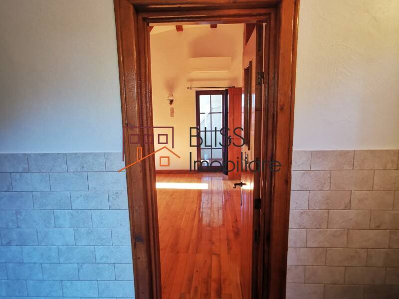 680sqm Villa With Garden And Pool Tunari, Bucharest / Ilfov | Bliss Imobiliare / Photo 60 - BLISS Imobiliare