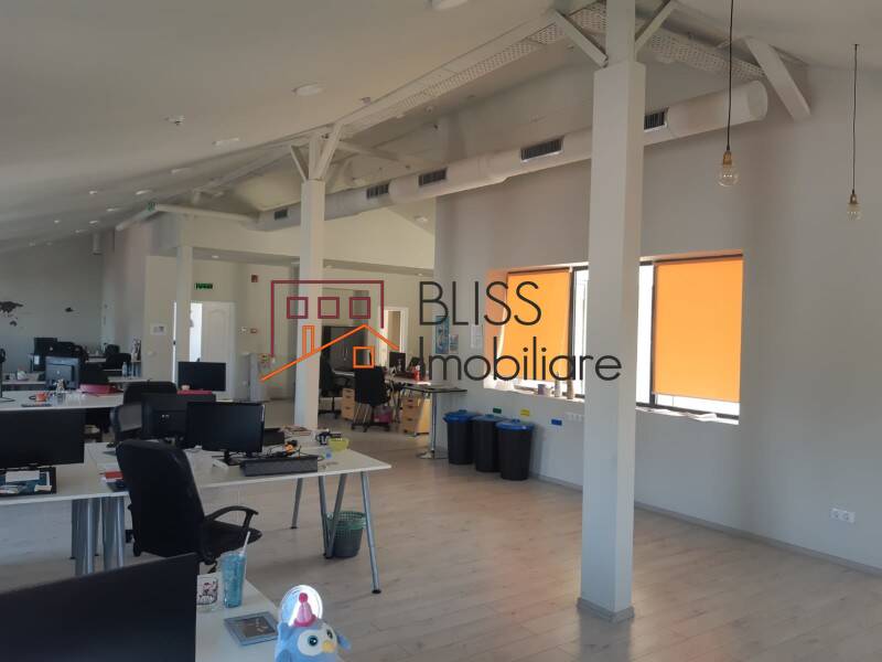 Vila de Inchiriat Unirii - 14 Camere - ID:28817 | Bliss Imobiliare / Photo 49 - BLISS Imobiliare