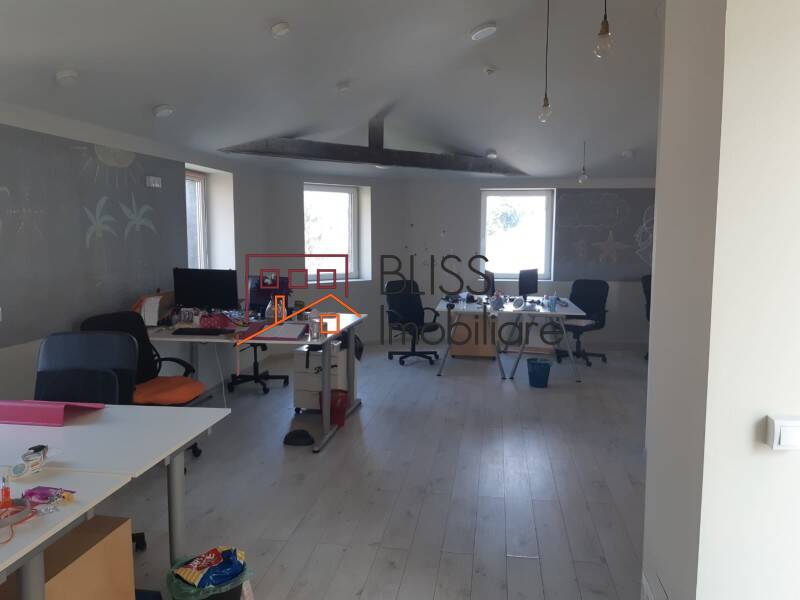 Vila de Inchiriat Unirii - 14 Camere - ID:28817 | Bliss Imobiliare / Photo 57 - BLISS Imobiliare