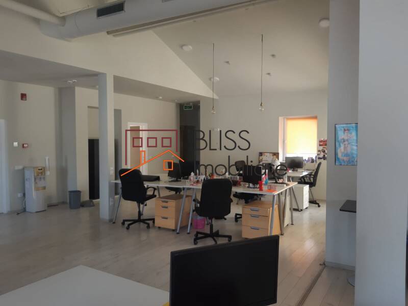 Villa for Rent Unirii, Bucharest - 14 Rooms - ID:28817 | Bliss Imobiliare / Photo 62 - BLISS Imobiliare