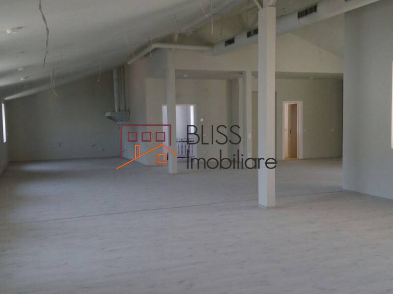 Villa for Rent Unirii, Bucharest - 14 Rooms - ID:28817 | Bliss Imobiliare / Photo 66 - BLISS Imobiliare