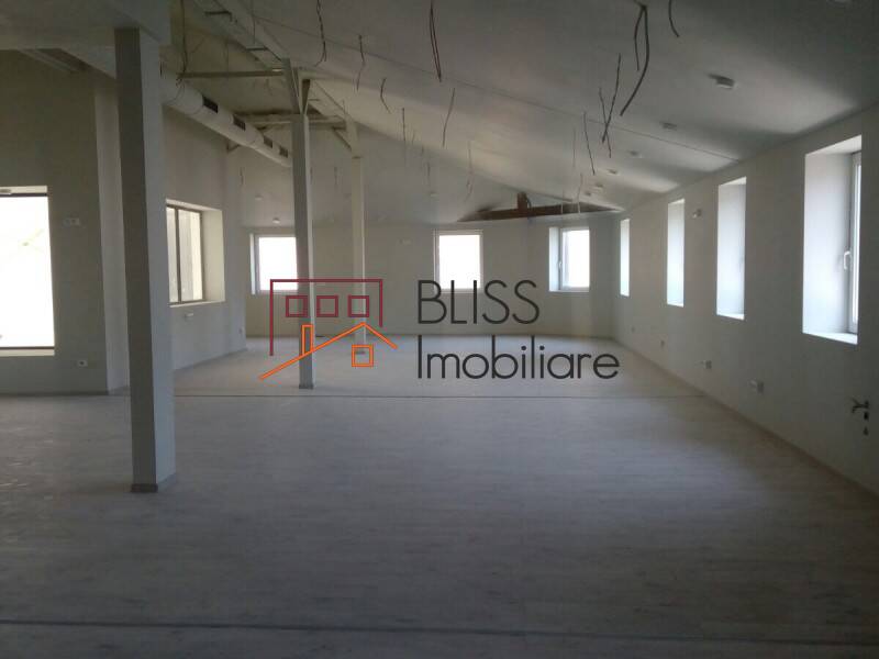 Villa for Rent Unirii, Bucharest - 14 Rooms - ID:28817 | Bliss Imobiliare / Photo 67 - BLISS Imobiliare