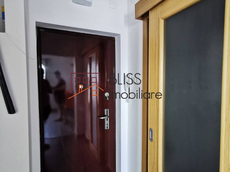 Renovated One Bedroom Apartment, Bucharest | Bliss Imobiliare / Photo 17 - BLISS Imobiliare