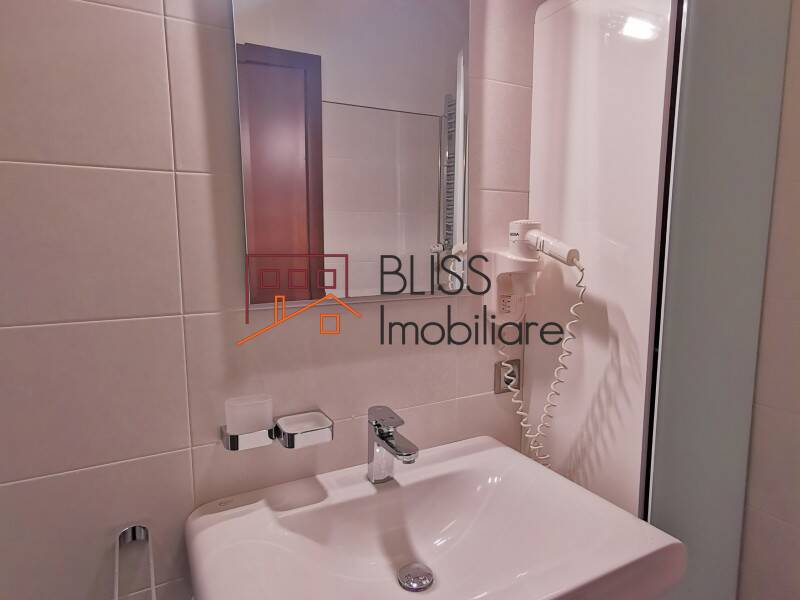 Luxury One Bedroom Apartment, Bucharest | Bliss Imobiliare / Photo 12 - BLISS Imobiliare