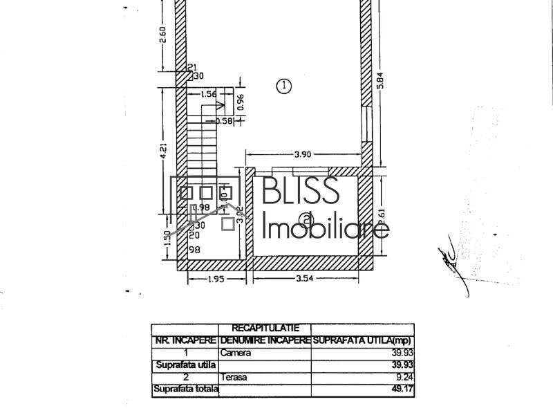 Vila Cu 7 Camere | Bliss Imobiliare / Photo 48 - BLISS Imobiliare