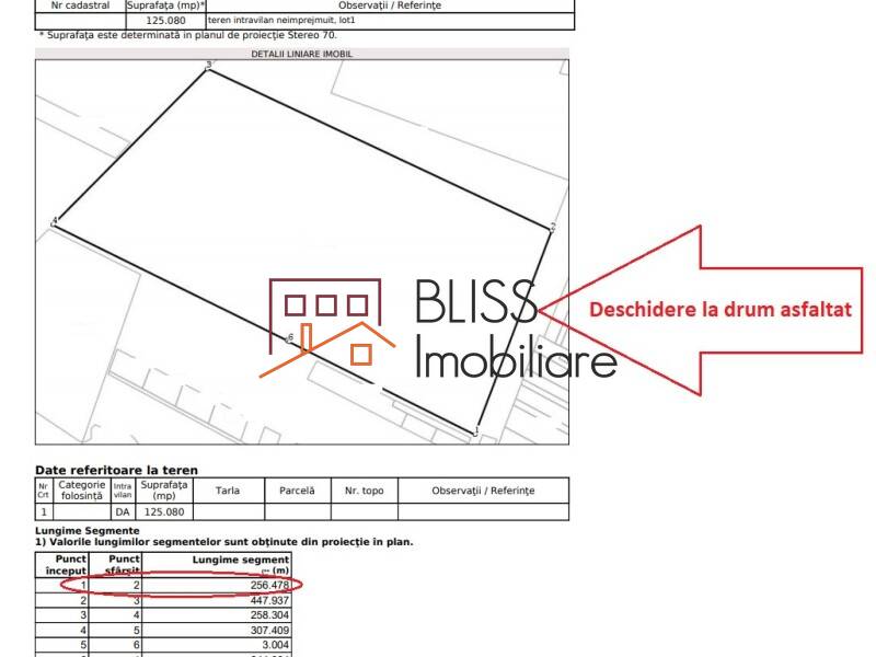 Photo 3 - BLISS Imobiliare