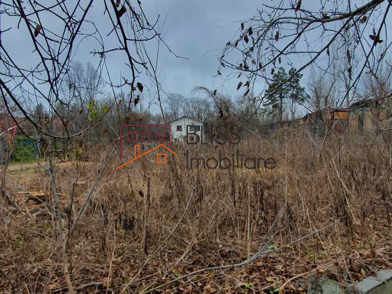 Photo 6 - BLISS Imobiliare