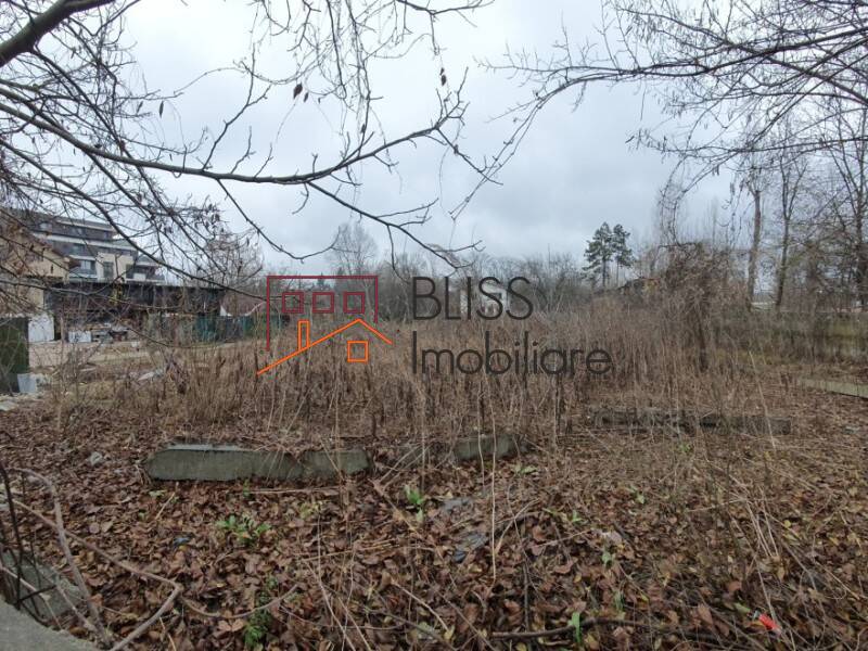 Photo 8 - BLISS Imobiliare