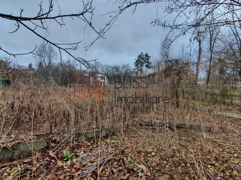 Photo 7 - BLISS Imobiliare