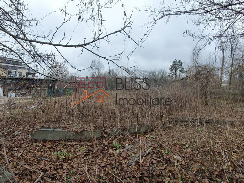 Photo 9 - BLISS Imobiliare