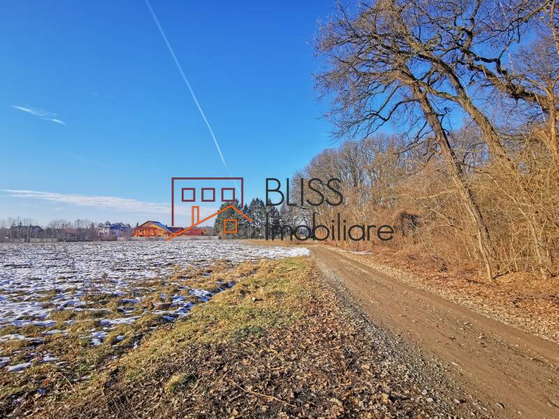 Photo 2 - BLISS Imobiliare