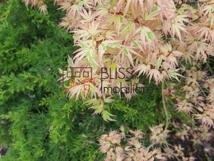 Vila Cu 5 Camere | Bliss Imobiliare / Photo 6 - BLISS Imobiliare