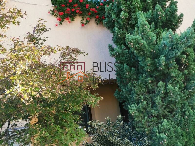 Vila Cu 5 Camere | Bliss Imobiliare / Photo 7 - BLISS Imobiliare