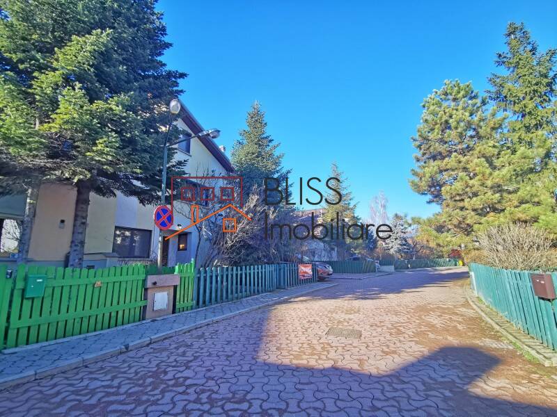 5 Bedroom Villa Iancu Nicolae, Bucharest / Ilfov | Bliss Imobiliare / Photo 70 - BLISS Imobiliare