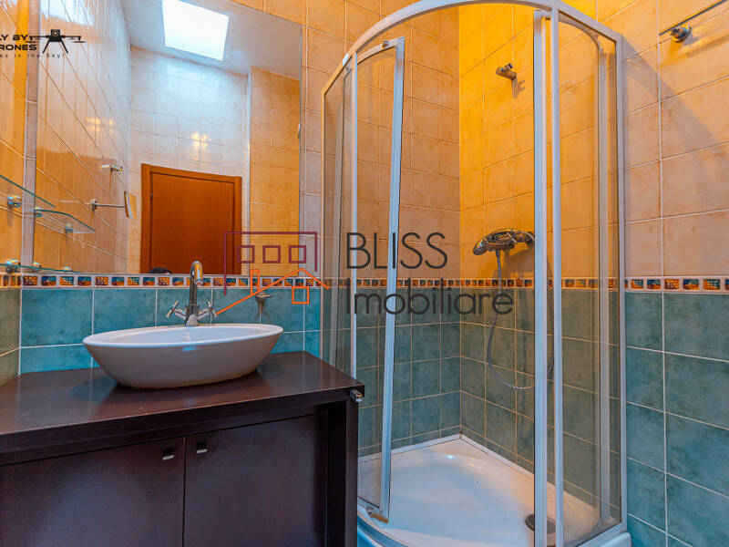 Vila Cu 6 Camere | Bliss Imobiliare / Photo 29 - BLISS Imobiliare