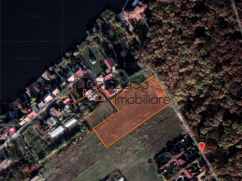 Photo 8 - BLISS Imobiliare