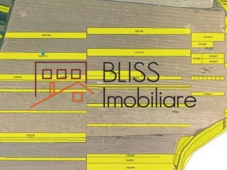 Photo 12 - BLISS Imobiliare