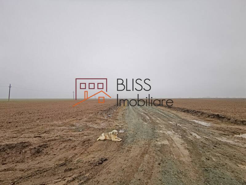 Photo 4 - BLISS Imobiliare