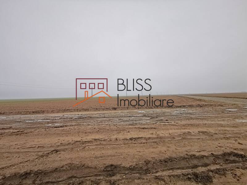 Photo 5 - BLISS Imobiliare