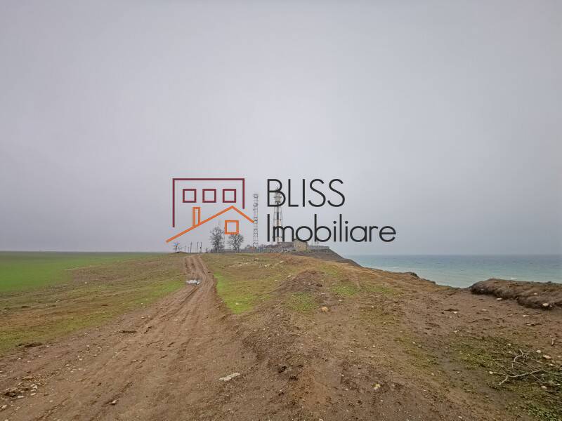 Photo 3 - BLISS Imobiliare