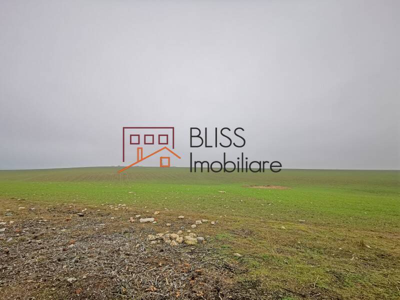 Photo 6 - BLISS Imobiliare