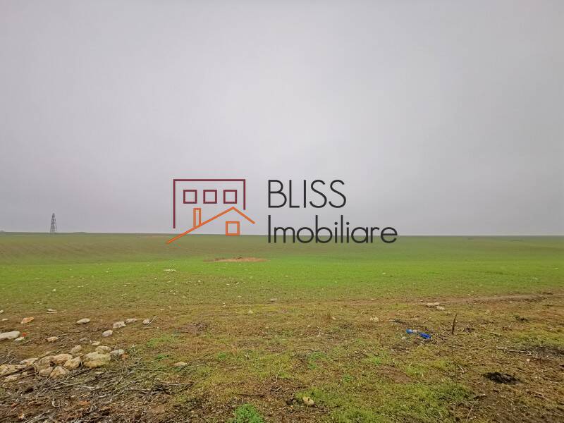 Photo 7 - BLISS Imobiliare