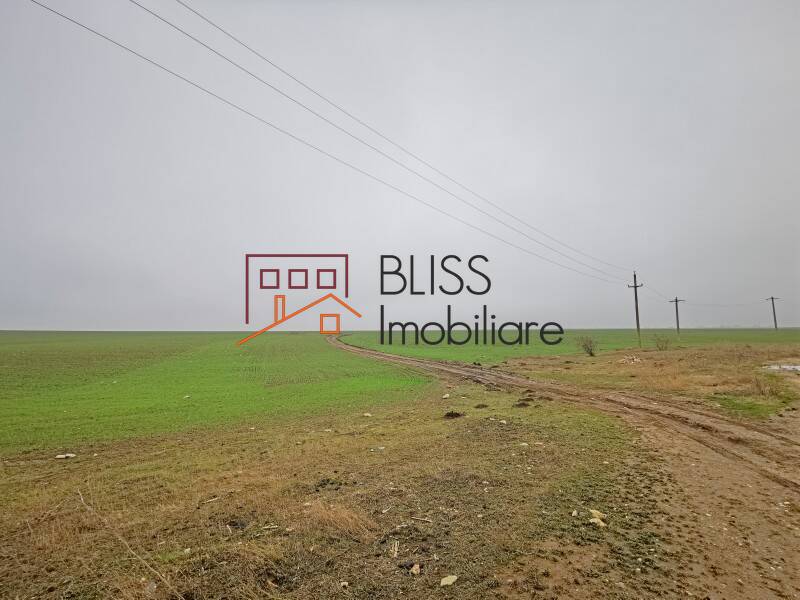 Photo 8 - BLISS Imobiliare