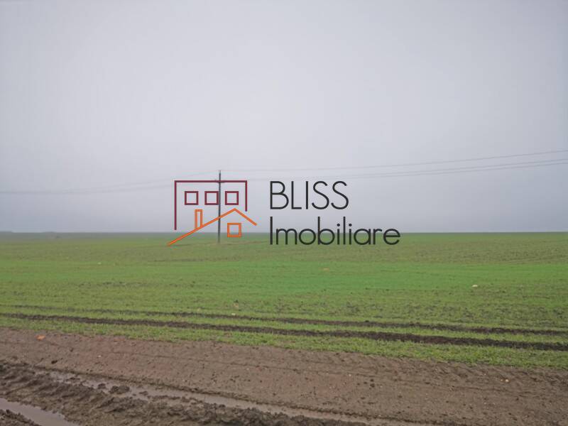 Photo 9 - BLISS Imobiliare