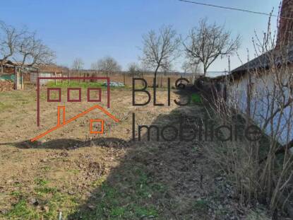 House for Sale Moara Vlasiei, Bucharest / Ilfov - 6 Rooms - ID:91525 | Bliss Imobiliare / Photo 3 - BLISS Imobiliare