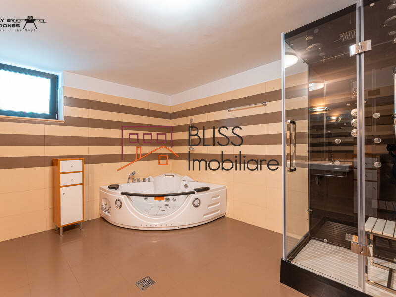 Vila Cu 7 Camere, Zona Herastrau | Bliss Imobiliare / Photo 48 - BLISS Imobiliare
