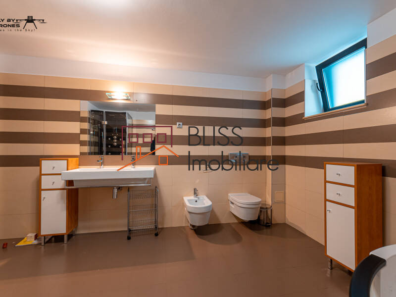 Vila Cu 7 Camere, Zona Herastrau | Bliss Imobiliare / Photo 49 - BLISS Imobiliare