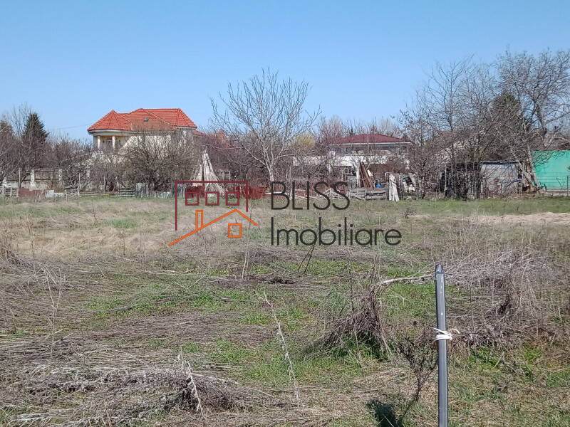 Photo 2 - BLISS Imobiliare