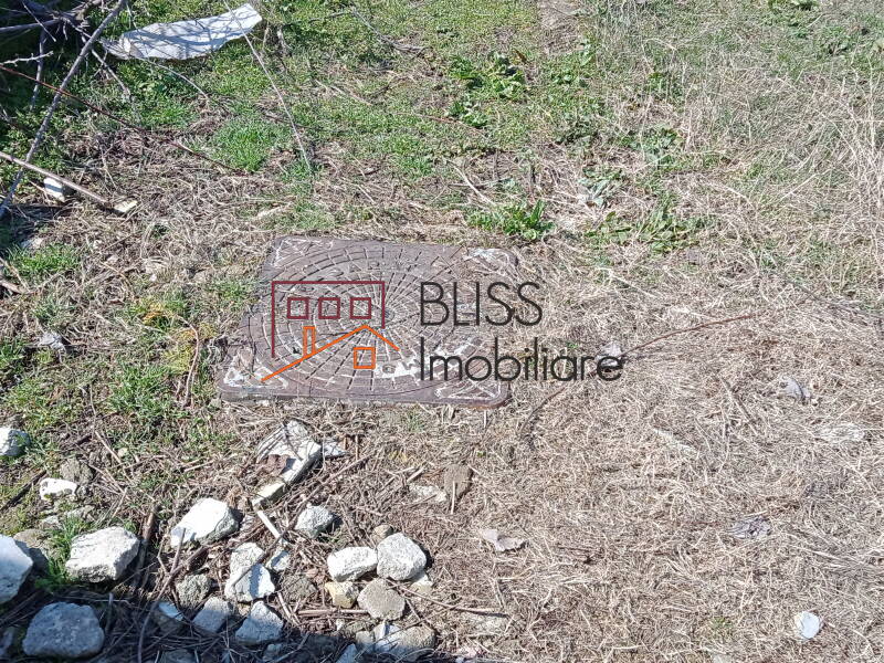 Photo 4 - BLISS Imobiliare