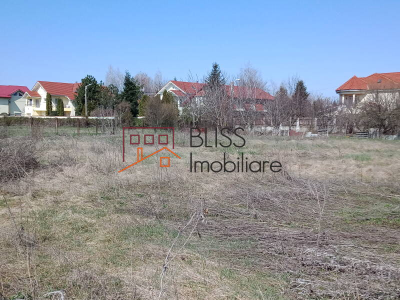 Photo 3 - BLISS Imobiliare