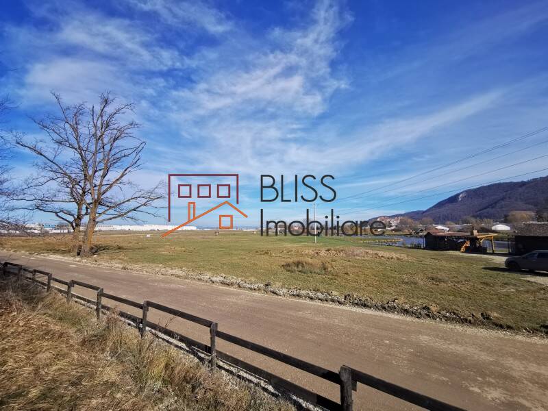 Photo 10 - BLISS Imobiliare
