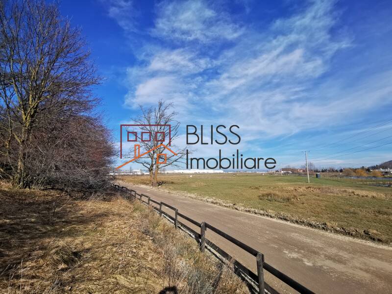 Photo 11 - BLISS Imobiliare