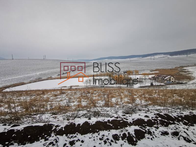 Photo 3 - BLISS Imobiliare