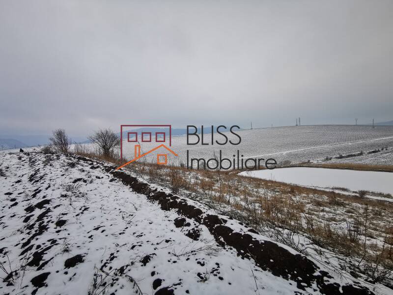 Photo 6 - BLISS Imobiliare