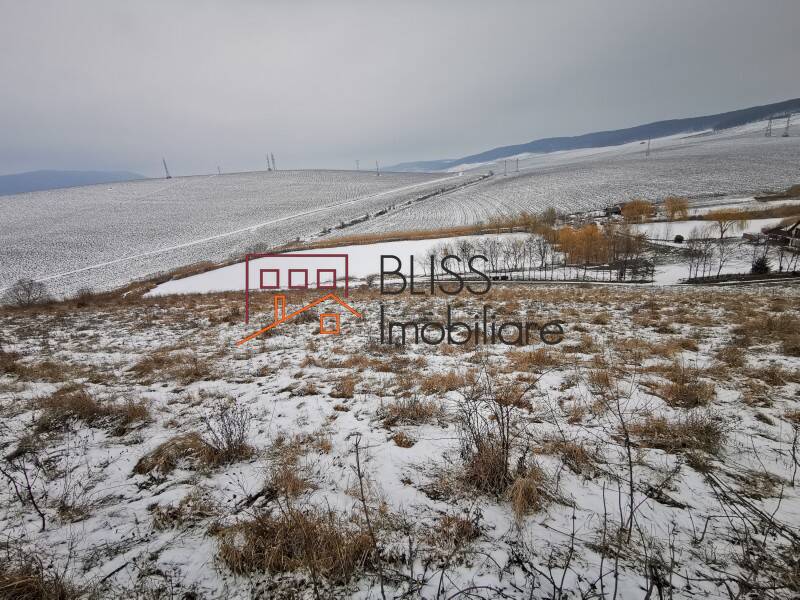 Photo 8 - BLISS Imobiliare